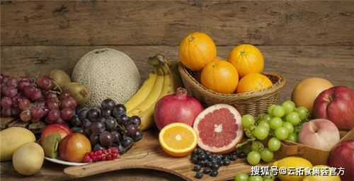 食集薈 | 被忽視的健康寶藏 魔芋的益處與技術(shù)進出口中的機遇